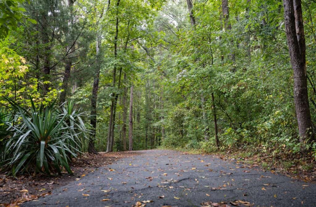 Latta Nature Preserve Tail - Things to Do in Huntersville NC