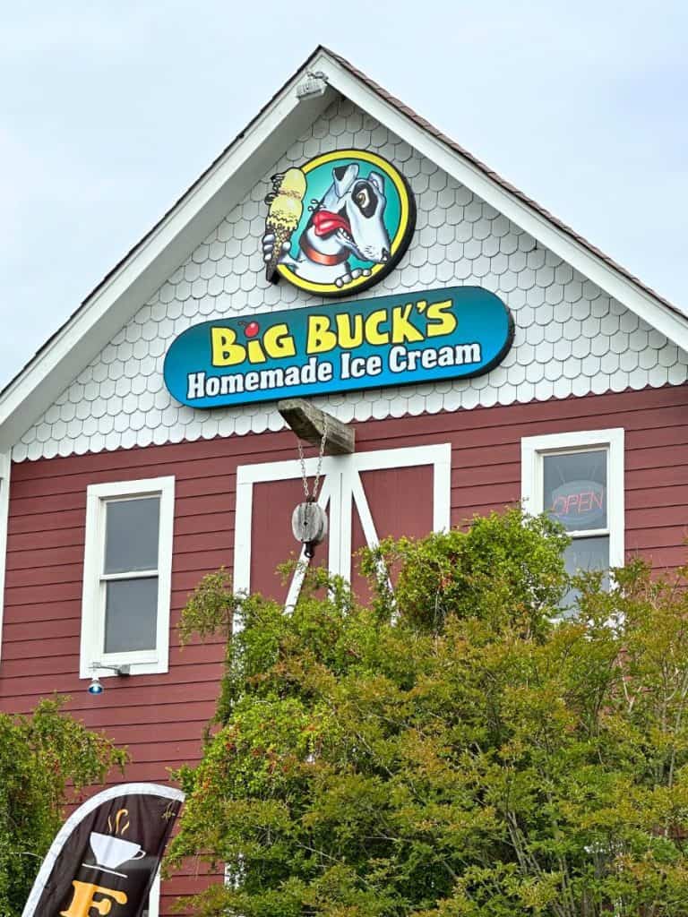 Big Buck's Ice Cream