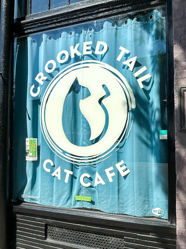 Crooked Tail Cat Cafe great thing to do in Greensboro NC