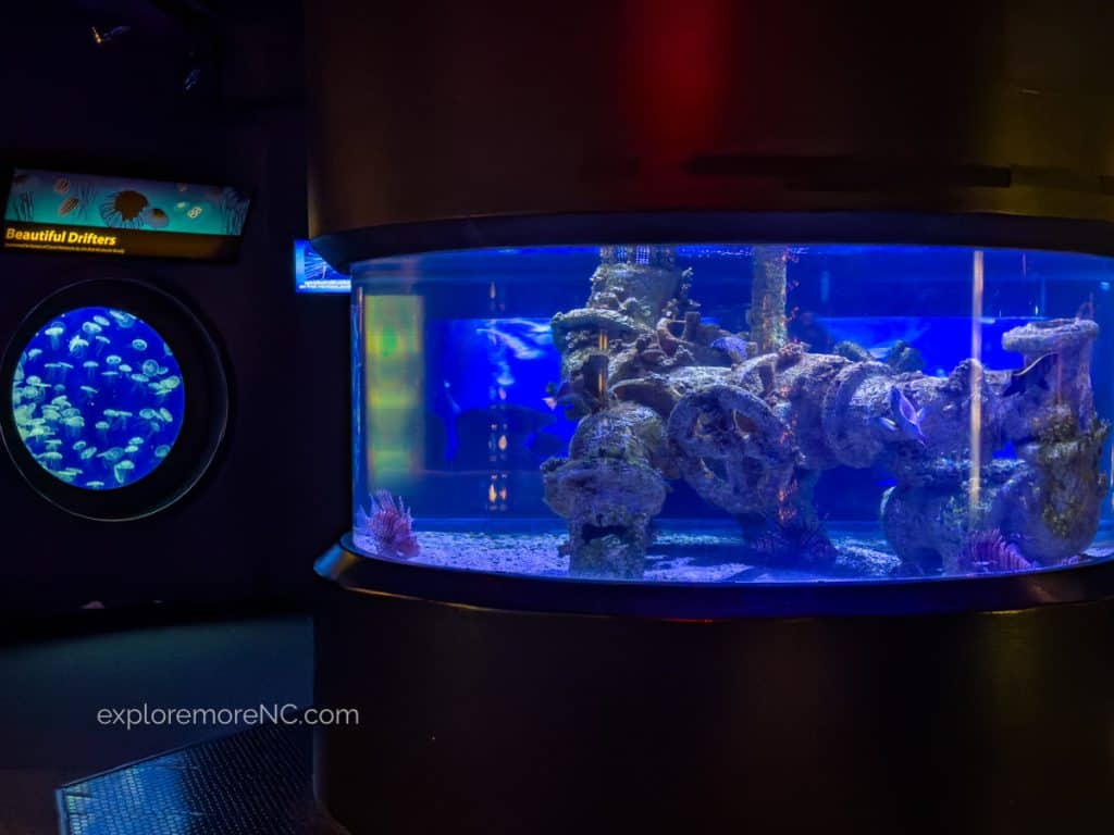 An indoor view of an aquarium exhibit at Pine Knoll Shores Aquarium, featuring a circular window with a vibrant blue glow showcasing jellyfish and a larger tank with various marine life and coral structures illuminated by ambient lighting.