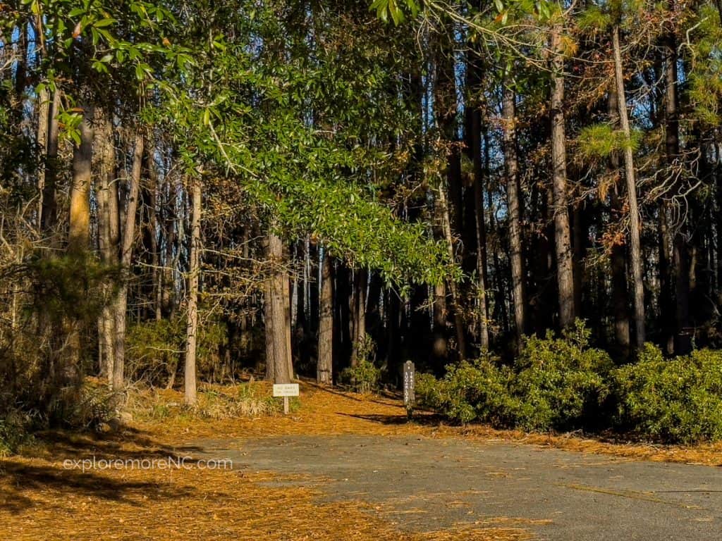 A trailhead marked "Sugarloaf Trail" at a state park, with a dense forest background. A clear path invites visitors to explore the natural surroundings.